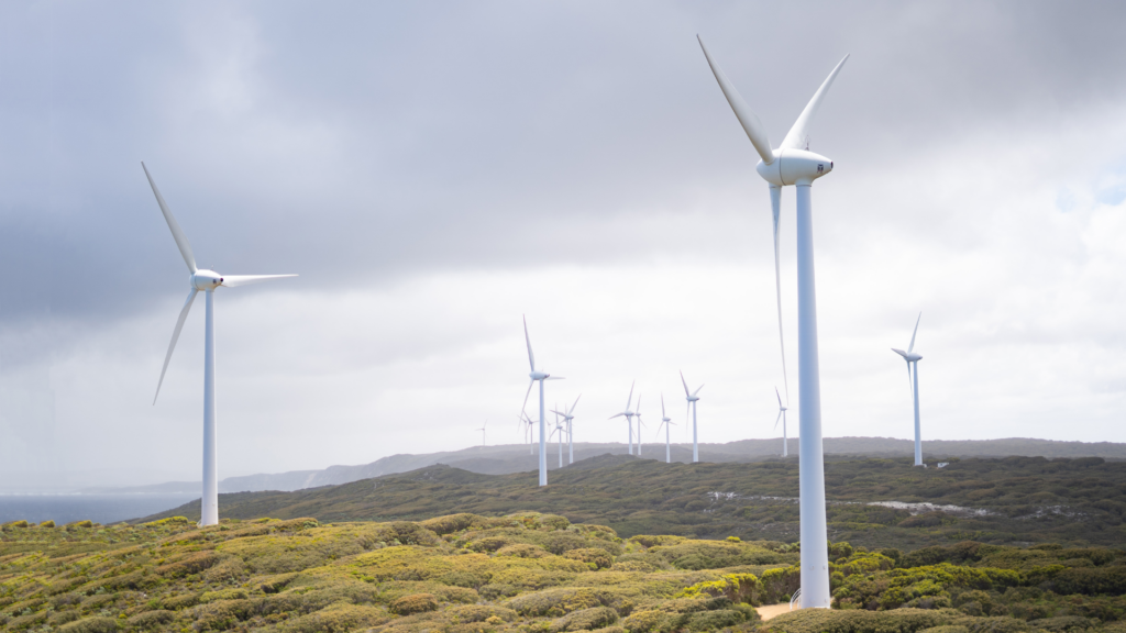 Wind Farm